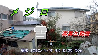 メジロ 雪 ４Ｋ 高速再生動画 BGM Ｇｏｐｒｏ８ 熱暴走防止対策をし撮影