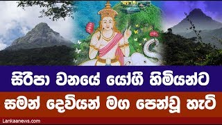 සිරිපා වනයේ  යෝගී හිමියන්ට සමන් දෙවියන් මග පෙන්වූ හැටි
