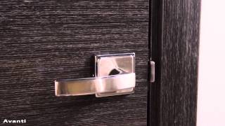 Avanti Interior Door in Black Apricot Finish - Exotic Wood Veneer Collection