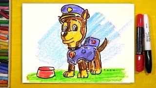Рисую щенка Гонщика из мультика Щенячий Патруль / РыбаКит рисунки для детей