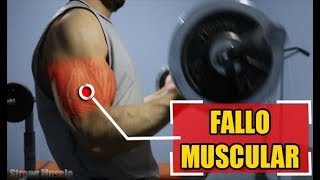 Qué es el Fallo Muscular. ¿Sirve o No?