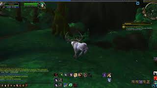 World of Warcraft Legion ВЕРХОВНЫЙ ДРУИД ДОЛИНЫ МЕДВЕДЬ МУДРОСТИ