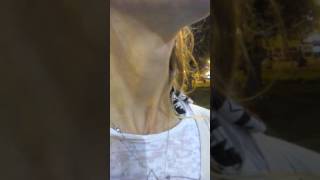 Anne neck fetish