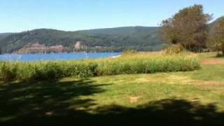 Riffe Lake Camping