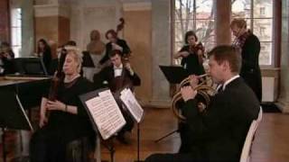 Bach - Brandenburg Concerto No. 1 in F major BWV 1046 - 1. Allegro