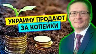 Украину ждет кровавая резня за землю: Анатолий Пешко о теневом рынке сельхозземель