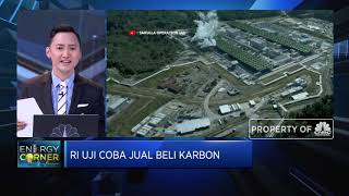 Kurangi Emisi Gas Rumah Kaca, RI Uji Coba Jual Beli Karbon