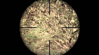 DayZ Standalone #28  Ausschau halten
