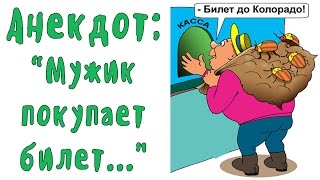 АНЕКДОТ МУЖИК ПОКУПАЕТ БИЛЕТ... Хорошие анекдоты