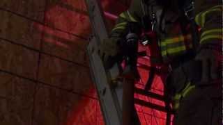 Snagger Ladder Tool Live Action