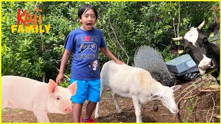 We play at the sheep farm and pet animals!