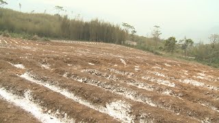 公共電視 我們的島─水田的眼淚