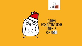 Рождество в CentrVet