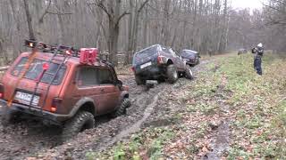 Нивы из Off- road life 71