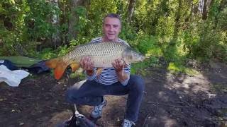 Рыбхоз ''Гжелка'' Август 2016  Трофейный карп.