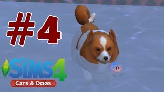 Köpeklerimizin Havuz Keyfi | The Sims 4 Cats & Dogs #4