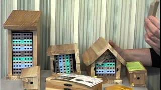 Beediverse- Setting Out Mason Bee Cocoons