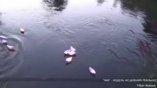 Модель исцеления реальности(тренинг: исполнение желания/тренер Велена Кармызова  Minsk2015)