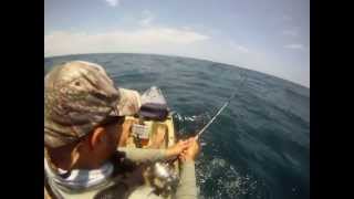 Sailfish From A Kayak At The Extreme Kayak Fishing Tournament!!