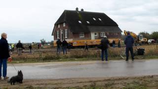 verhuizing Margot Ribberink 1