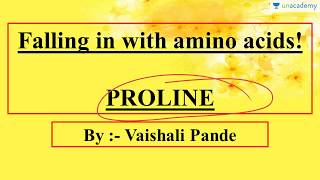 Amino Acids - Proline