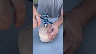 Coconut Opener ????