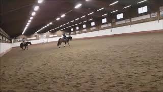 20181118 Dimmans Electra o Kajsa galopp höger varv