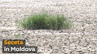Seceta în Moldova: Dispar râuri și lacuri