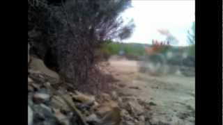 Rally Honda TRX250