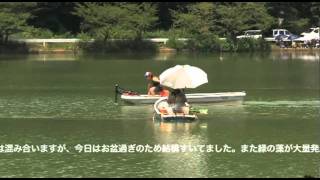 山梨の夏-千代田湖2010chiyodako