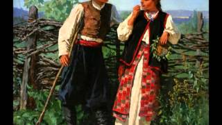 Владимир НЕЧАЕВ     Василёчки - васильки