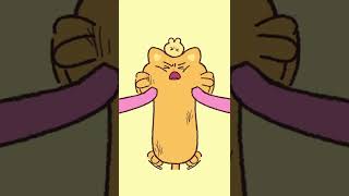 ねこのBOSS ニニモ！ l Ninimo l The cute orange cat is coming l 予告編#shorts