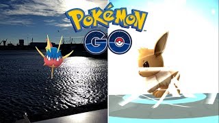 CAPTURANDO POKÉMON CON MIS PATINES NUEVOS! SORPRESA GRACIOSA! [Pokémon GO-davidpetit]
