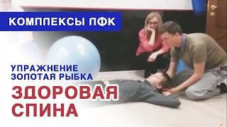 Здоровая спина | Золотая рыбка - забота о позвоночнике взрослых и детей