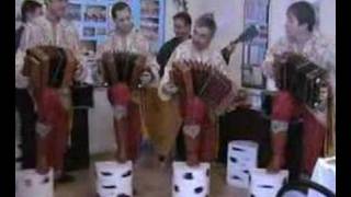 Саратовские переборы / Saratov Garmonika