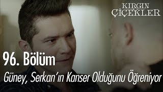 Güney, Serkan'ın kanser olduğunu öğreniyor - Kırgın Çiçekler 96. Bölüm