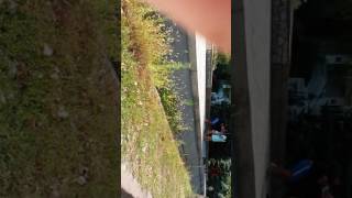 Девушки избивают парня в бишкеке