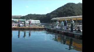 家島 海上釣り堀 水宝 釣り三昧((5)