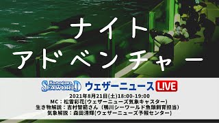 【鴨川シーワールドコラボ企画】水族館ナイトアドベンチャー