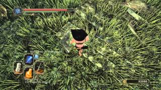 Dark Souls 2 "Viajero Grandahl"