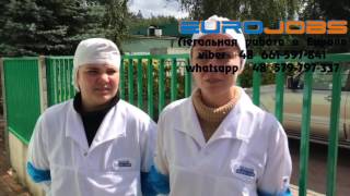 Работа на птицефабрике в Польше  Отзывы, условия работы и жилья EuroJobs