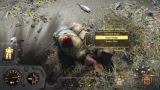 Airship's Defences against Super Mutant Warlords