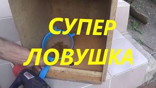 ?Ловушка для пчел с приманкой ? готовим и устанавливаем для роев. ??? Ловля роев ???