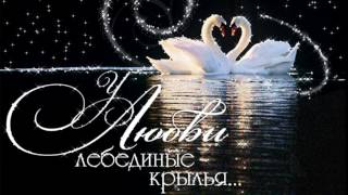 Лебединая верность - Футаж для видеомонтажа в Full HD(1080)