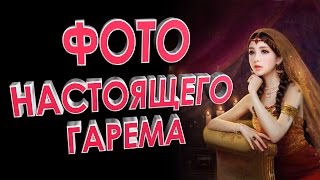 Фото настоящего гарема
