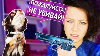 CОБАКИ и КОШКИ в ОПАСНОСТИ!