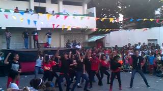 Diversus 2012-2013