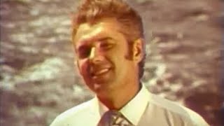 Виктор Кириченко (V. Kirichenko), "Журавли на Полесье летят"