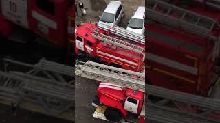 Ванино. Женщину придавило деревом. 05 Сентября 2018.