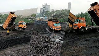 LIHAT SAAT DI TANJAKAN || MOBIL FUSO SEMUA BONGKAR BATU BARA